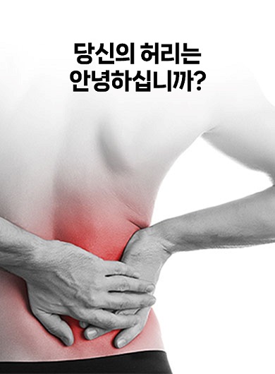 당신의 허리는 안녕하십니까? (강의교안)