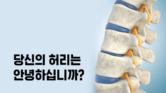 당신의 허리는 안녕하십니까? (강의교안)