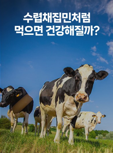 수렵채집민처럼 먹으면 건강해질까?