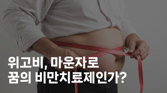 위고비, 마운자로 꿈의 비만치료제인가?