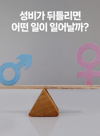 성비가 뒤틀리면 어떤 일이 일어날까?