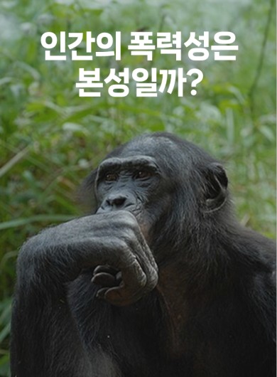 인간의 폭력성은 본성일까?
