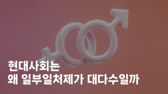 현대사회는 왜 일부일처제가 대다수일까
