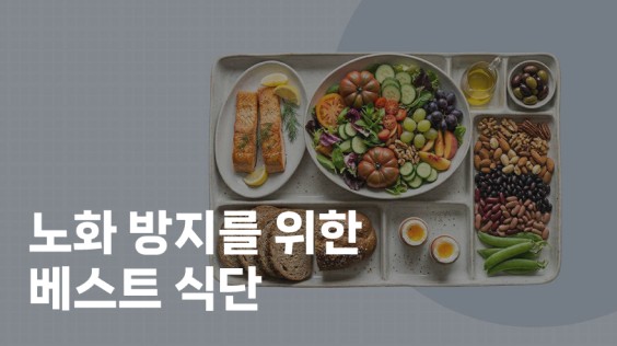 노화 방지를 위한 베스트 식단