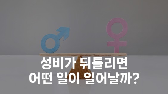 성비가 뒤틀리면 어떤 일이 일어날까?