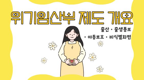 위기임산부 제도 개요_출산·출생통보·아동보호·비식별화편