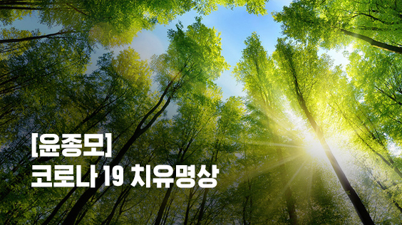 &#091;윤종모&#093;코로나 19 치유명상