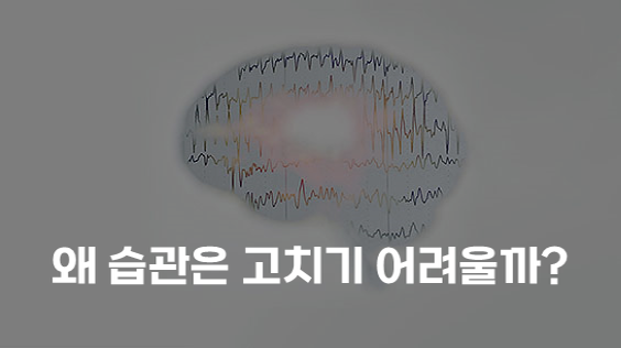 왜 습관은 고치기 어려울까? (강의교안)
