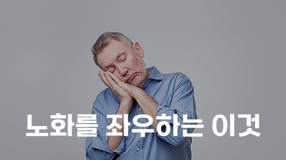 노화를 좌우하는 이것 (강의교안)