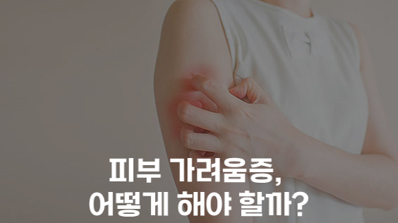 피부 가려움증, 어떻게 해야 할까? (강의교안)