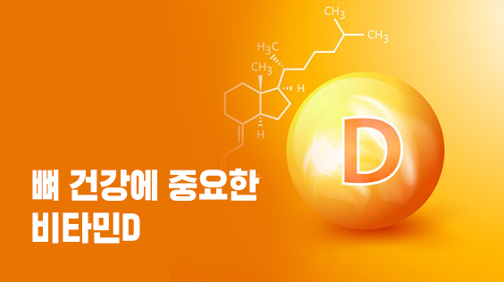 뼈 건강에 중요한 비타민D(강의교안)