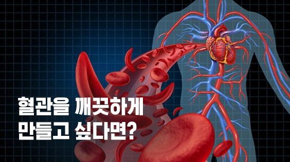 혈관을 깨끗하게 만들고 싶다면?(강의교안)