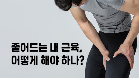줄어드는 내 근육, 어떻게 해야 하나?