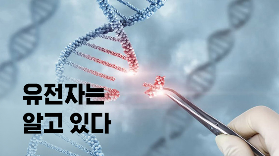 유전자는 알고 있다 